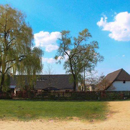 Bouwelhoeve 'T Schuur Grobbendonk Exteriér fotografie